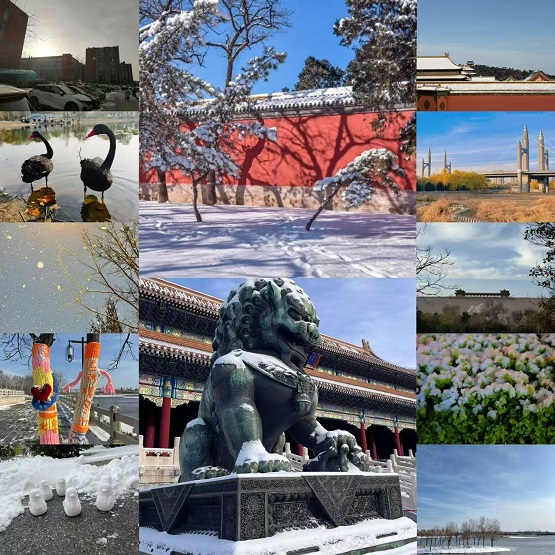 �йش���ҵ��˾���Ὺչ����Ӱӳ���ꡤ��ͼ����ġ��